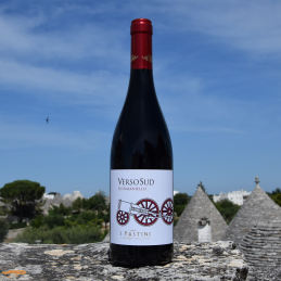 VERSOSUD 2017