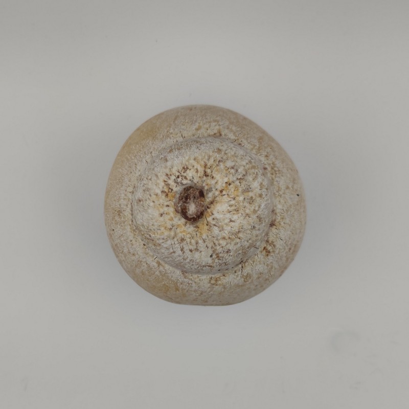 Caciocavallo Artigianale Stagionato in Grotta 5/6 Mesi | DaMati
