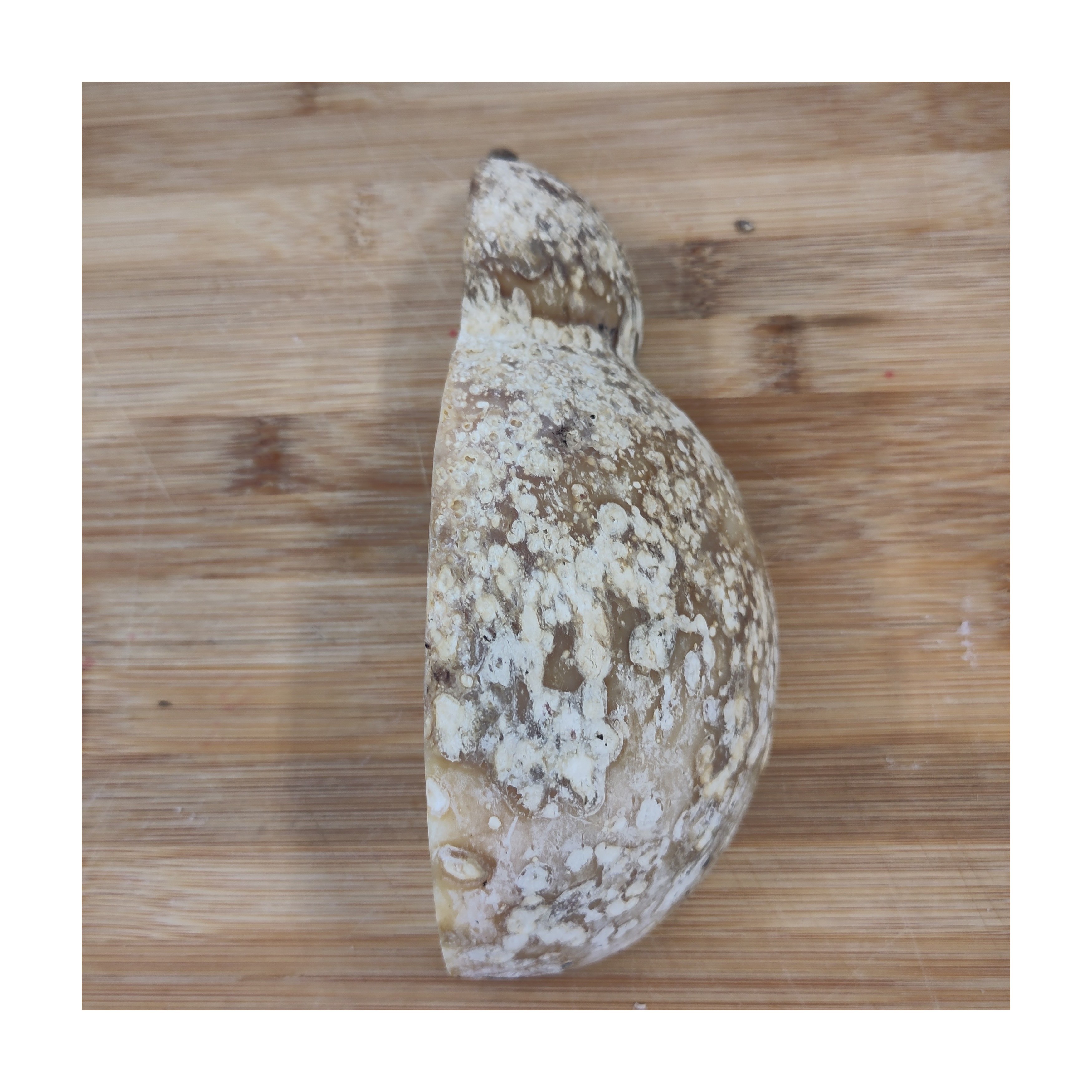 Quartino di Caciocavallo Stagionato in Grotta 5-6 Mesi | DaMati